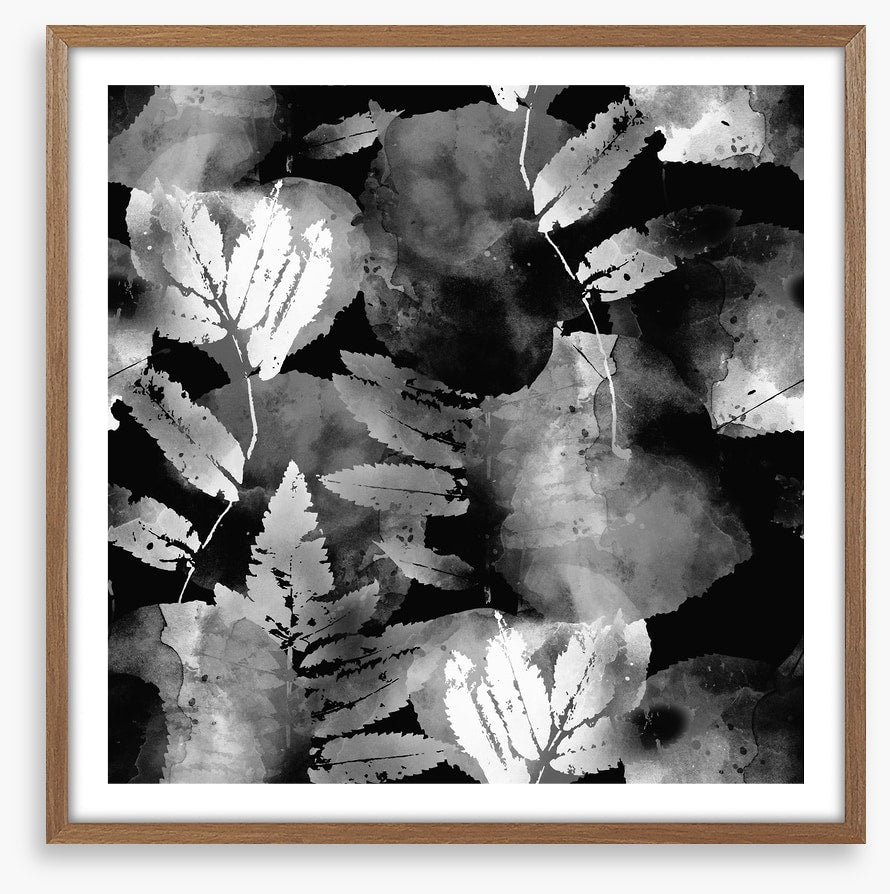 A leafy night