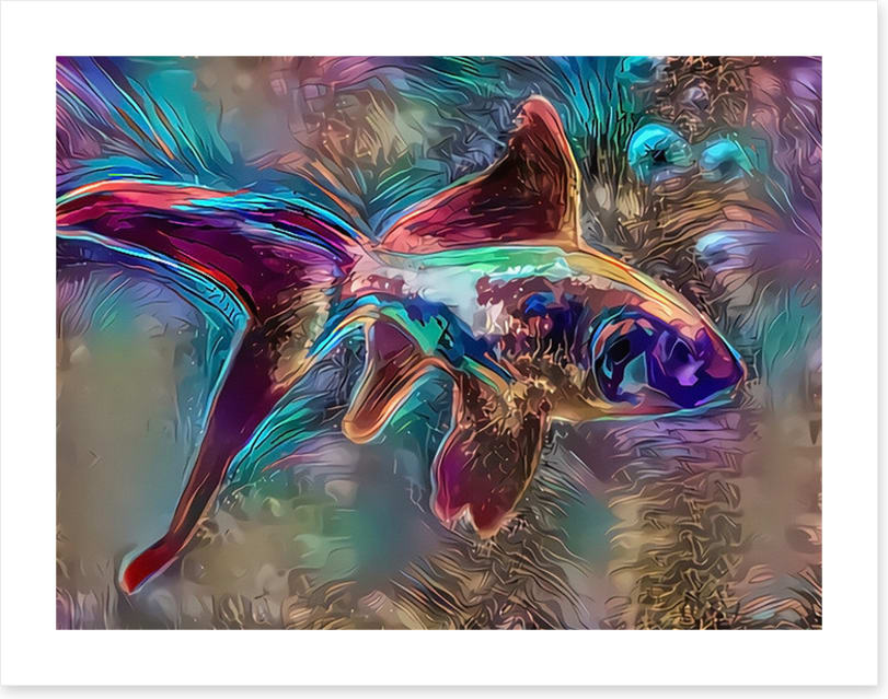 Pisces on my mind