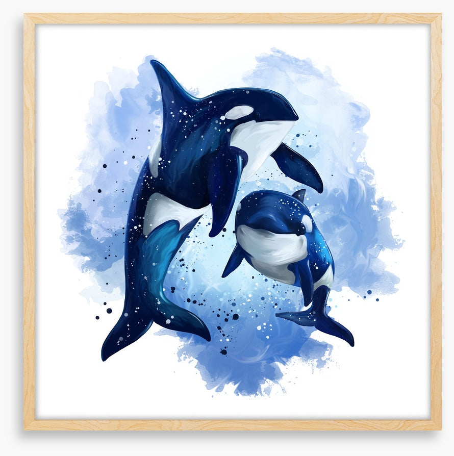 Two blue orcas