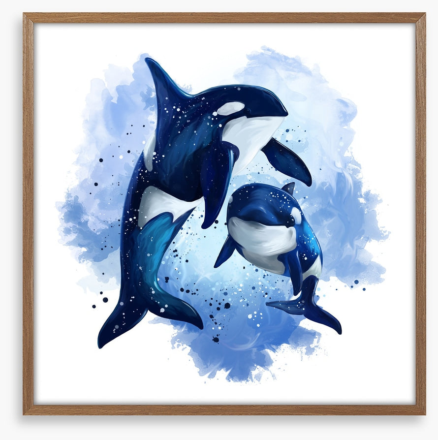 Two blue orcas