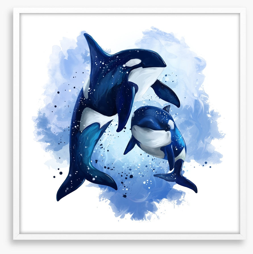 Two blue orcas