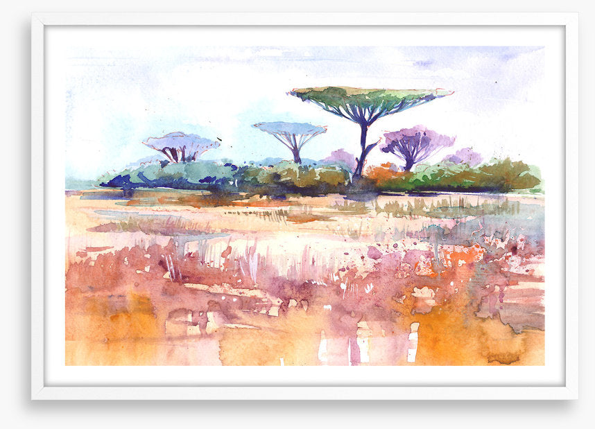 Savanna rain