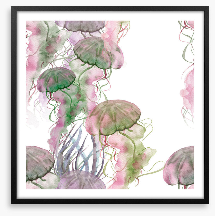 Jellyfish blush