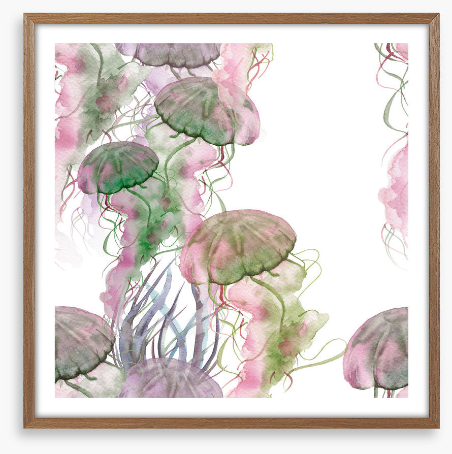 Jellyfish blush