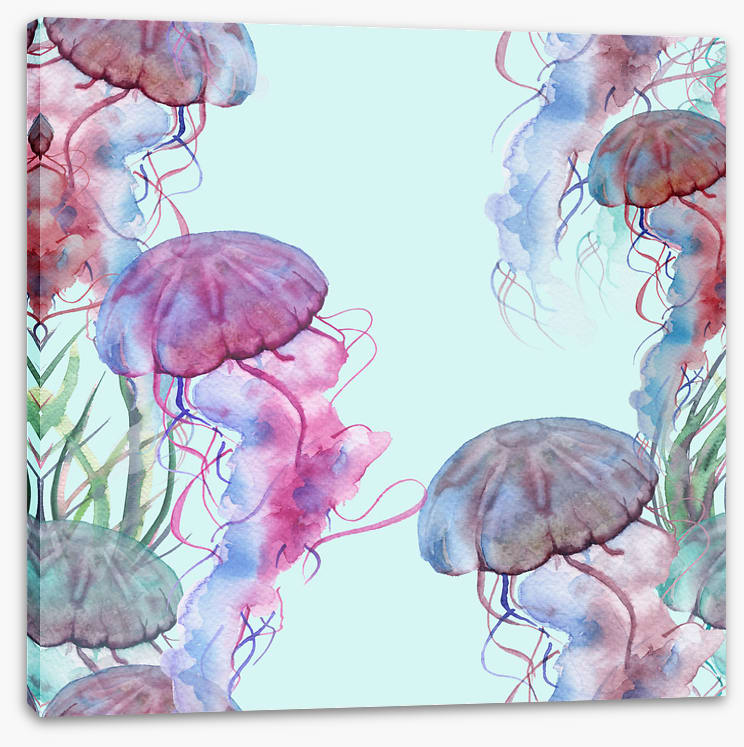 Jellyfish bloom