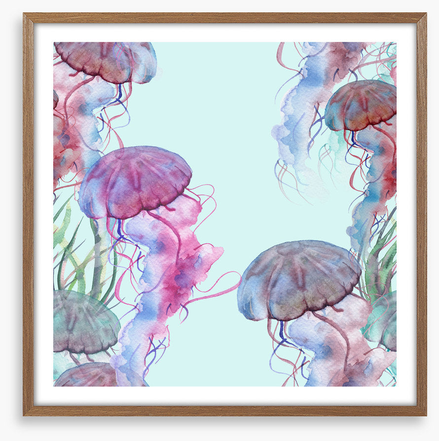 Jellyfish bloom