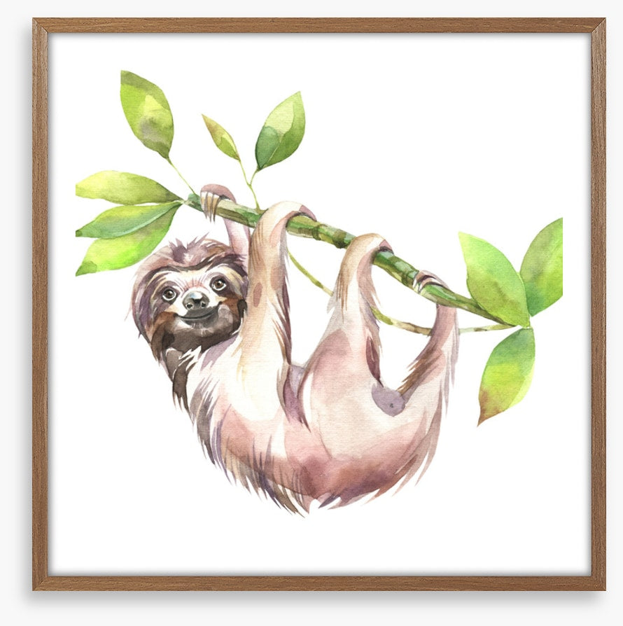 Smiling sloth