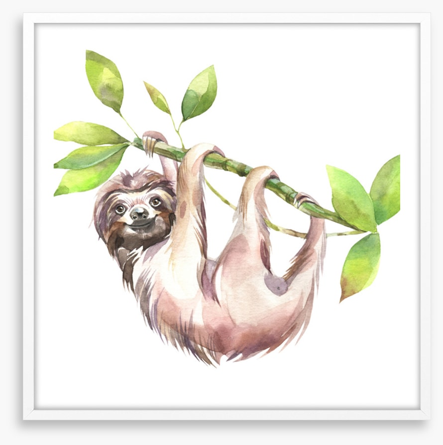 Smiling sloth