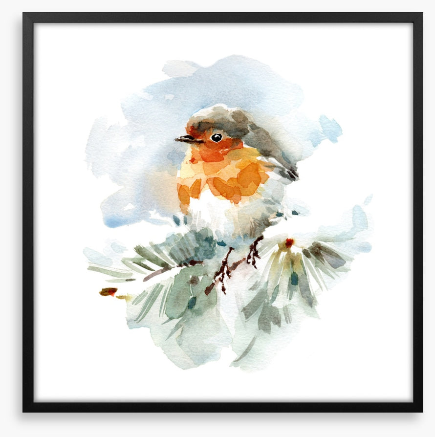 Robin in the snow
