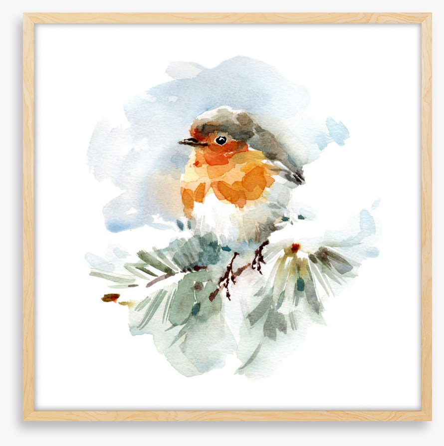 Robin in the snow