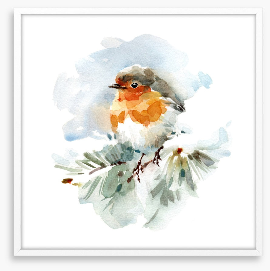 Robin in the snow