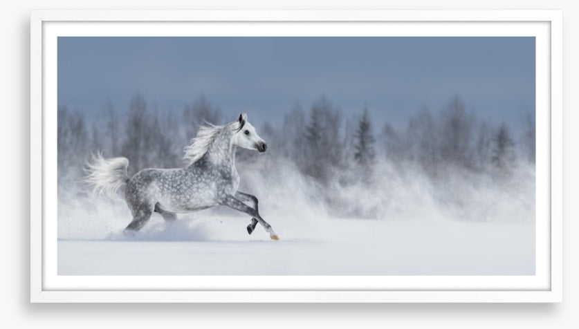 Powder run