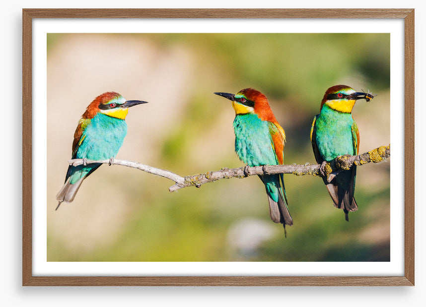 Three on the tree