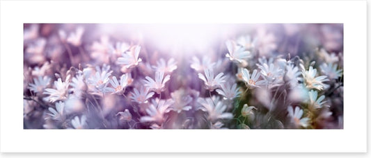 Spring begins panorama