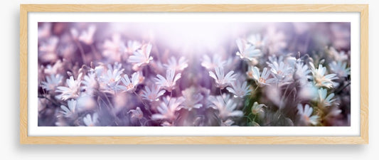 Spring begins panorama