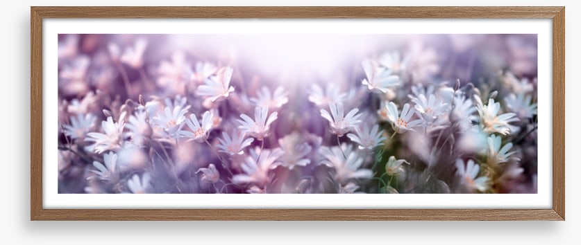 Spring begins panorama