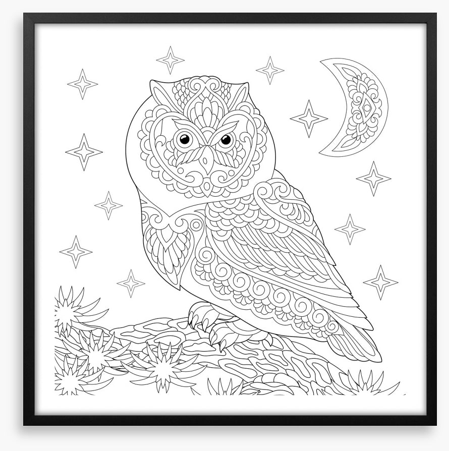Colour me night owl