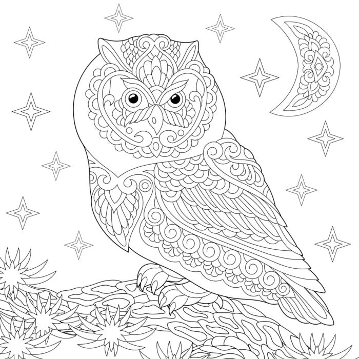 Colour me night owl