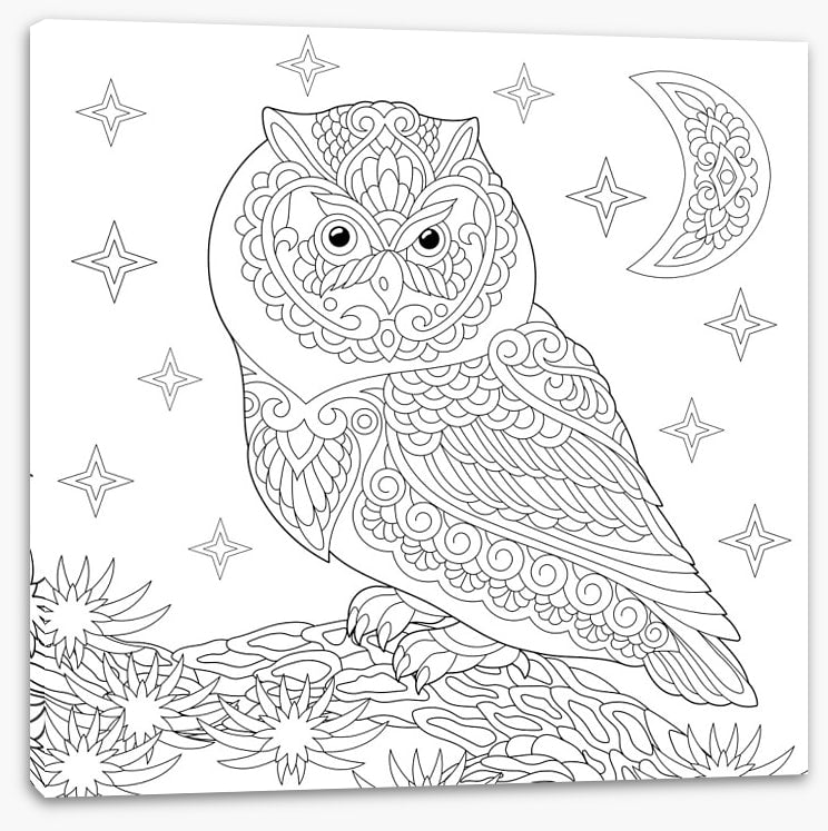 Colour me night owl
