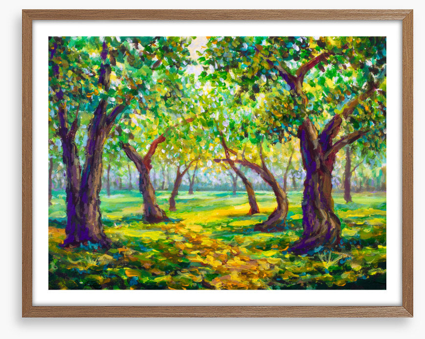 Through the sunny forest