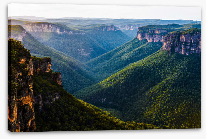 Grose Valley greens