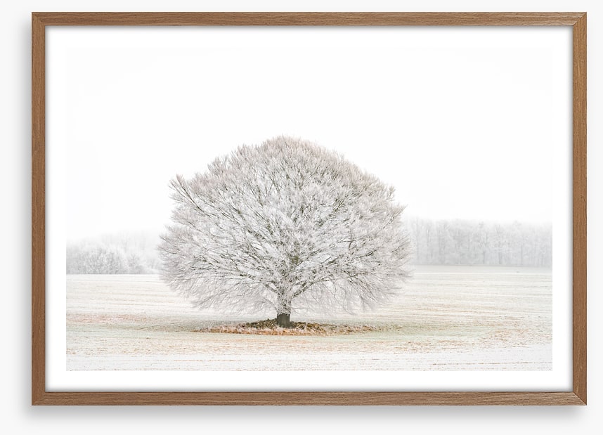 Solitude in the snow