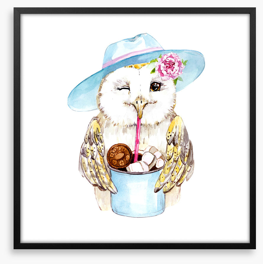 Owls