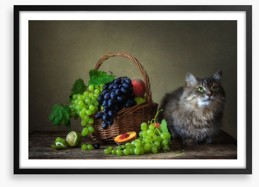 Still Life