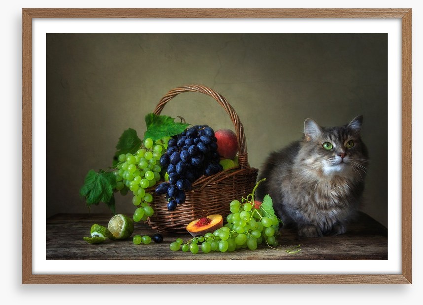Still Life