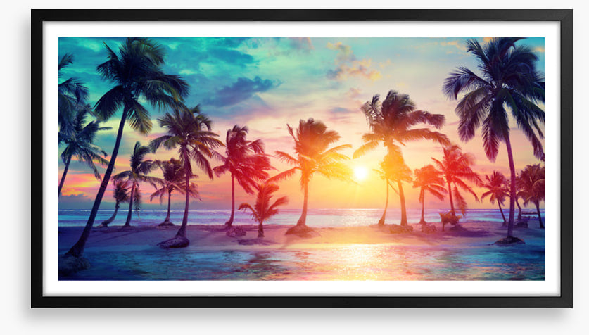 Sunset on summer