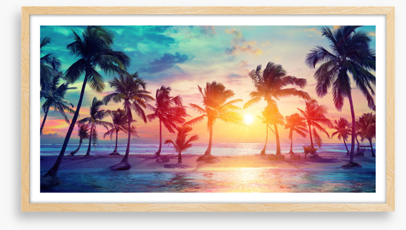 Sunset on summer
