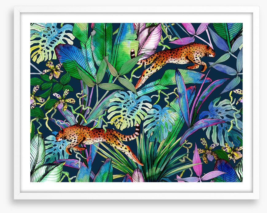 The jungle leopards