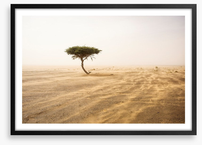 Africa