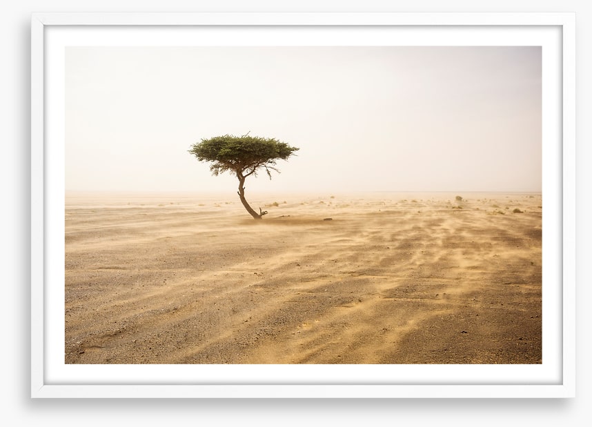 Africa