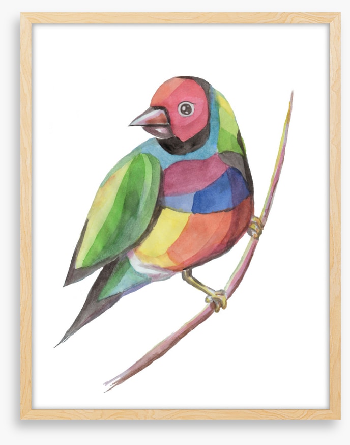 Birds