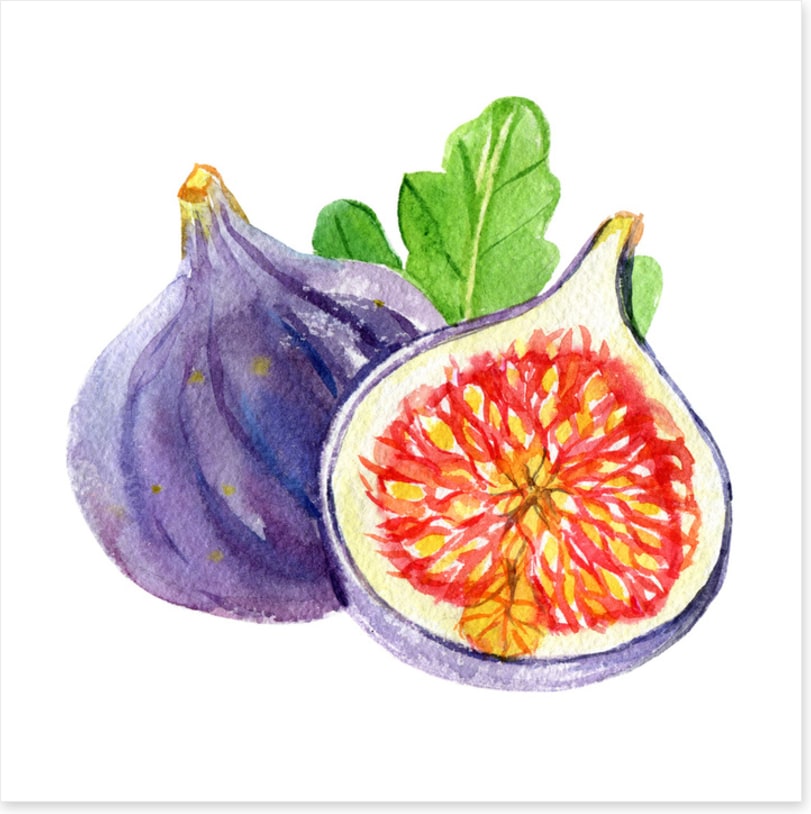 Fig and a half