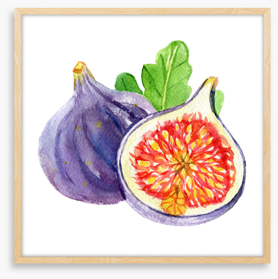 Fig and a half