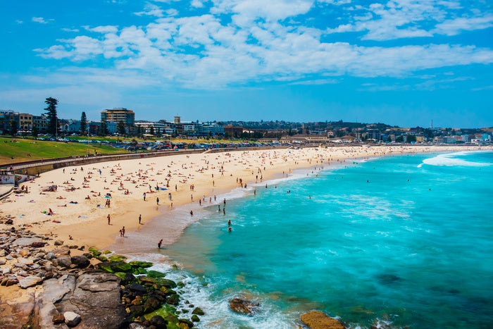 Bondi business