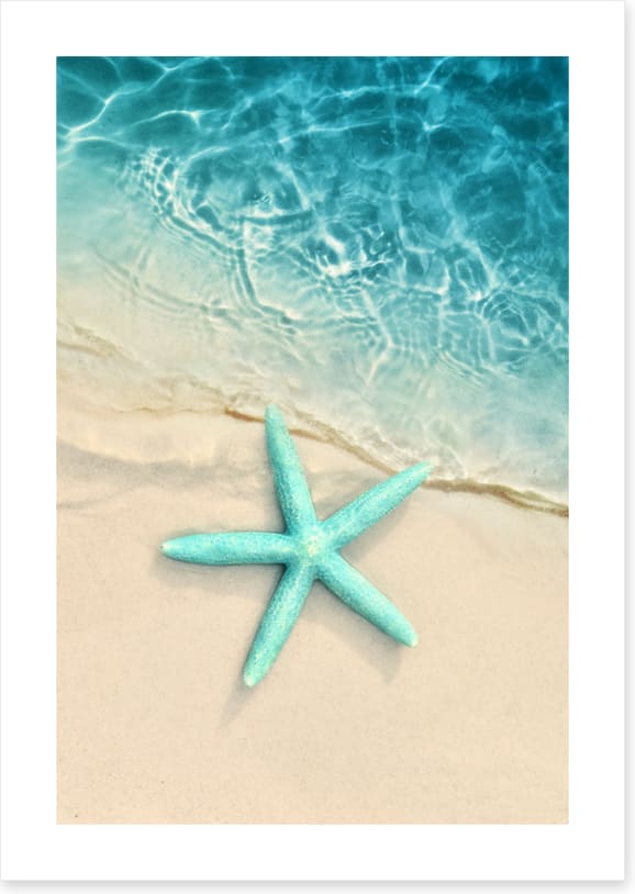 Turquoise starfish sands