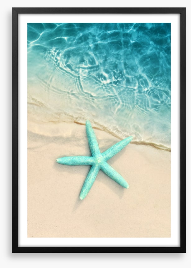 Turquoise starfish sands