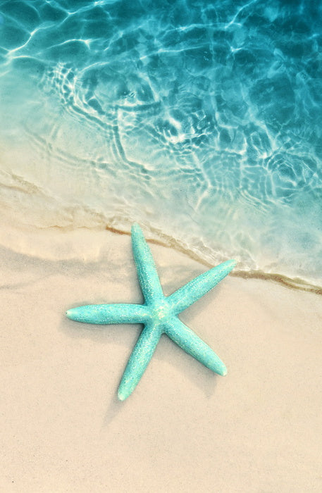 Turquoise starfish sands