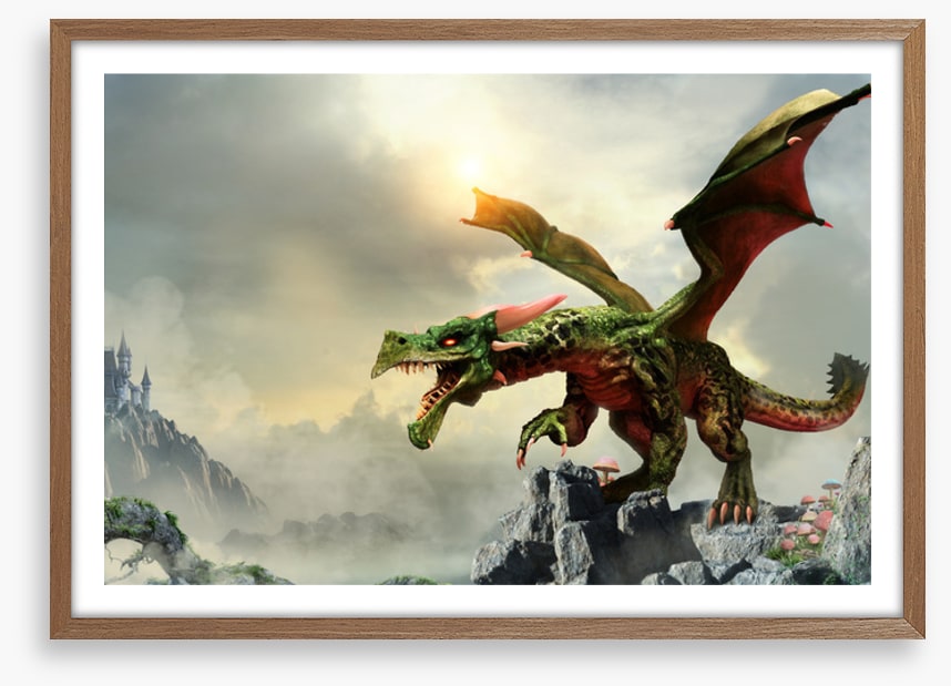 Dragons