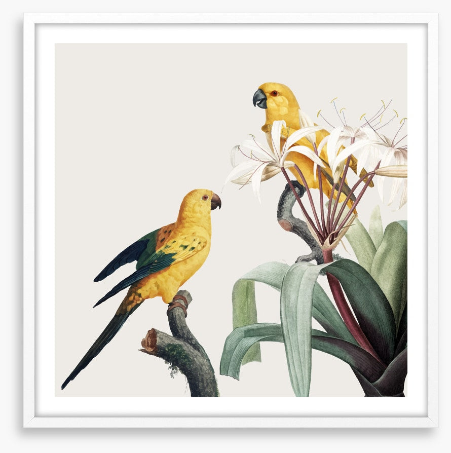 Feathered friends I