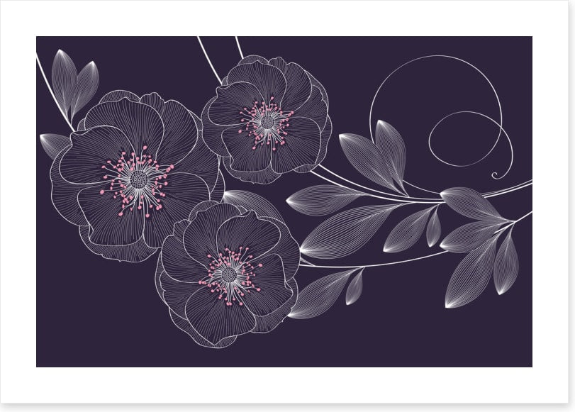 Rose flower flourish