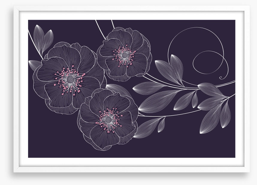 Rose flower flourish