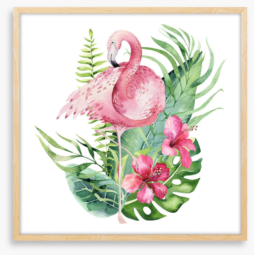 Spring in your step 1