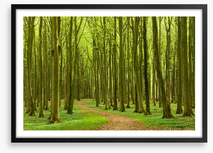 Follow the path