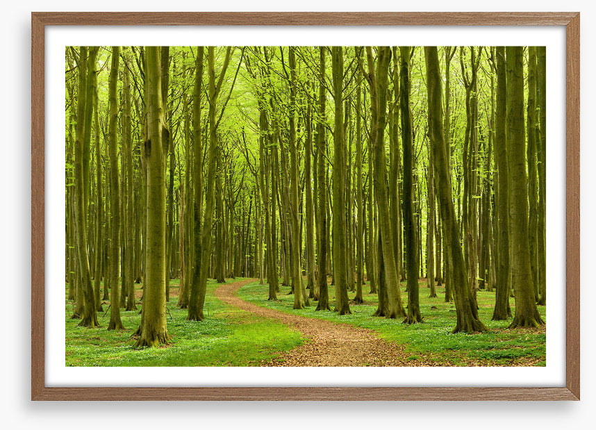 Follow the path