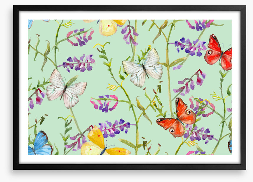 Butterflies