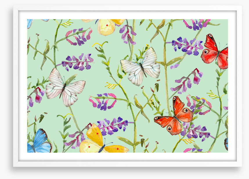 Butterflies